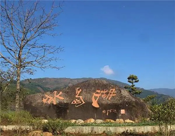 2024年冰島老寨古樹春茶品質(zhì)怎么樣？