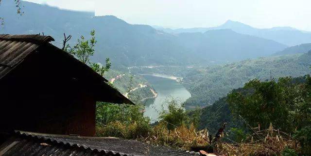 2024年磨烈古樹春茶價格多少？