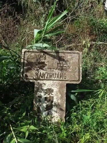 2025年蠻磚古樹春茶特點是什么？